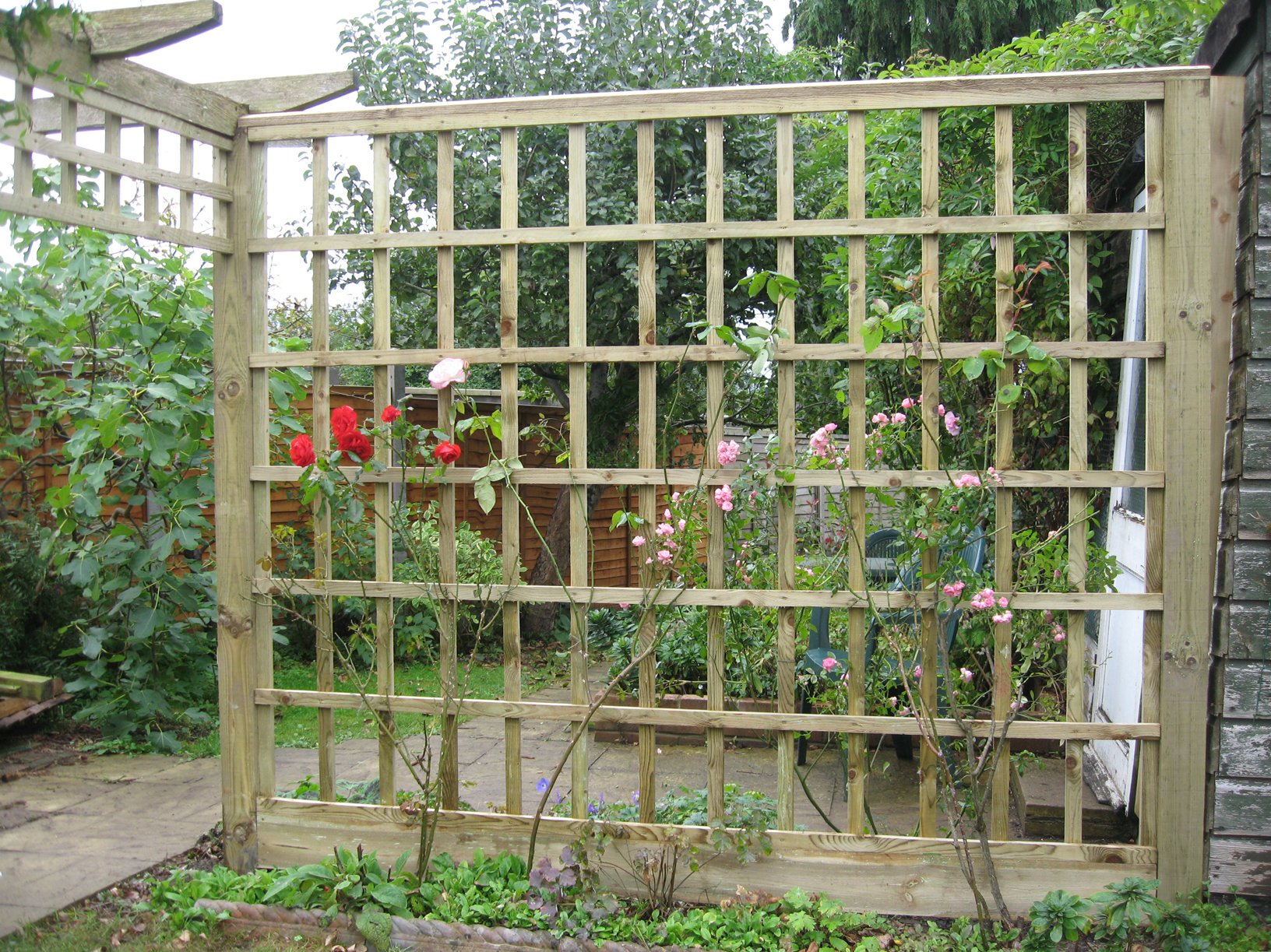 Trellis Designs